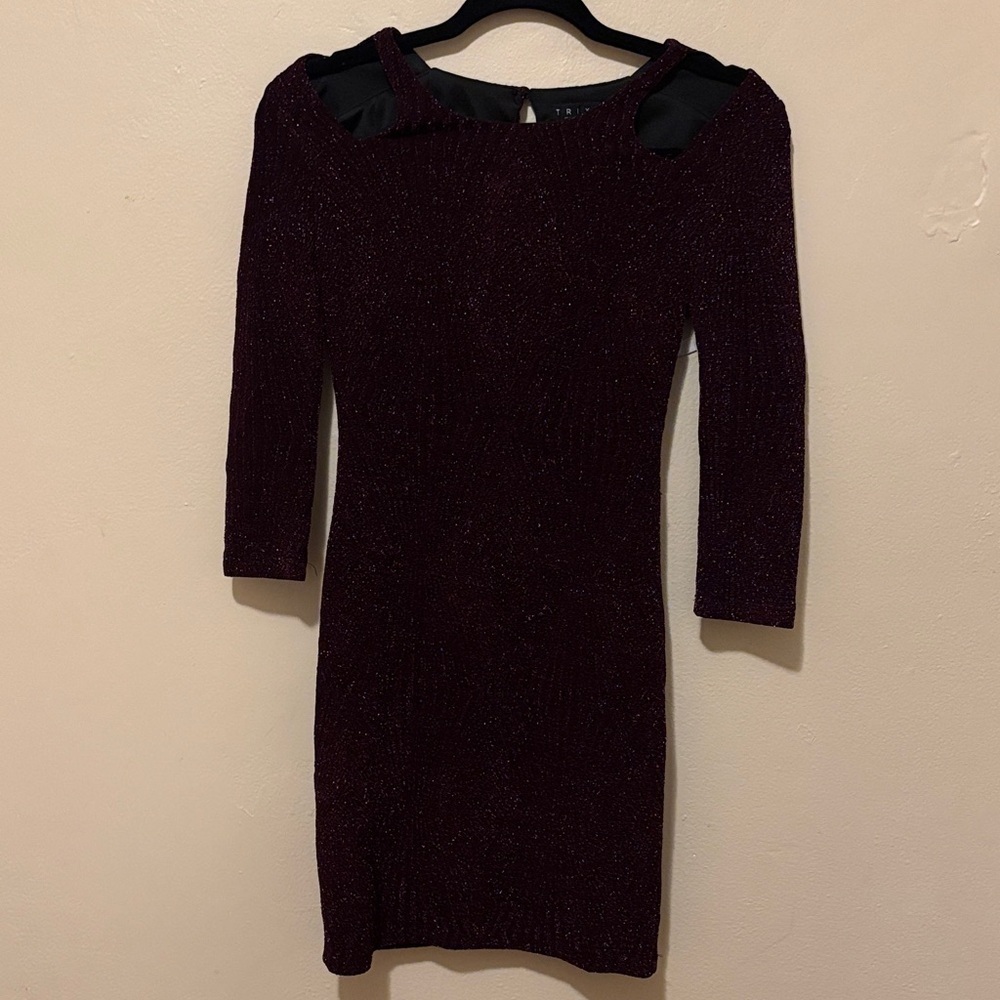 Trixxi Burgundy and Black Women's Dress